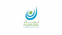 تحليل سهم نماء للكيماويات 31-12-2023